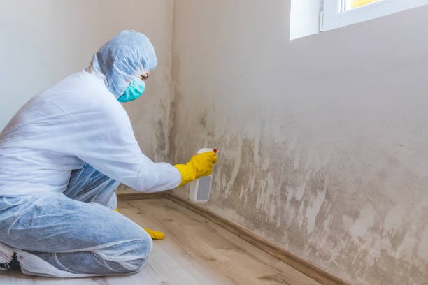 Commercial Mold Remediation assessment for commercial property in New Paris